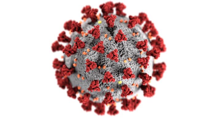 covid-19 virus logo